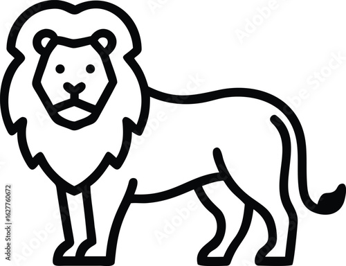 lion   king of the jungle