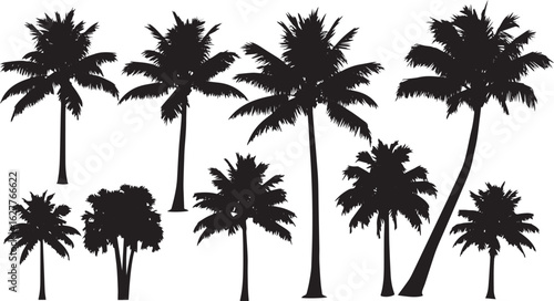 Palm Tree Silhouette Set