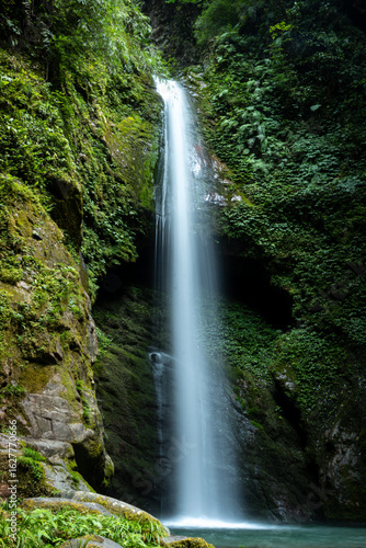 waterfall in the forest