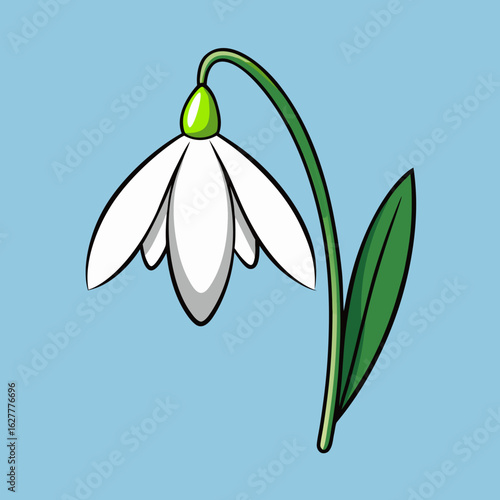 A delicate white snowdrop flower with green stem and leaves on a light blue background