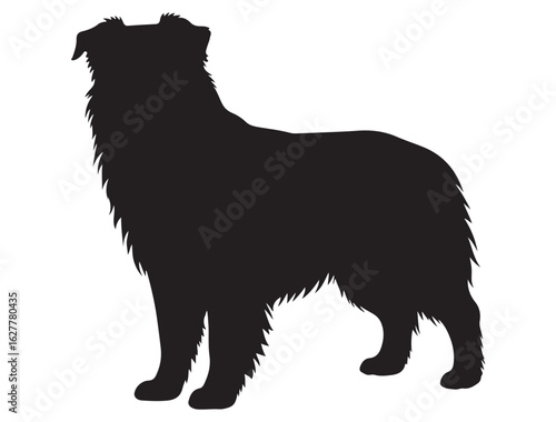 MINIATURE SHEPHERD DOG SILHOUETTE