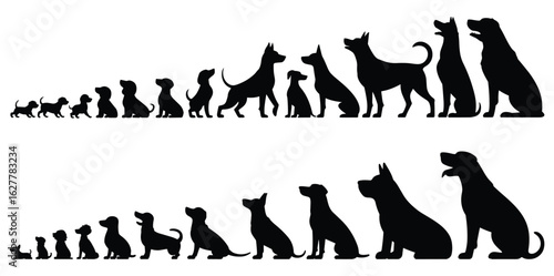 Silhouette dog breeds in ascending size order on white background canine puppy