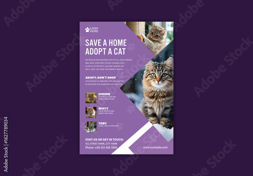 Adopt a Cat Flyer Template with Photos and Contact Info for Animal Shelter or Pet Rescue, Editable Design.