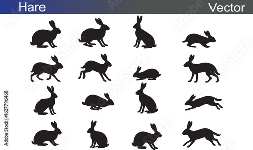 Hare Silhouette Vectror Illustration on White Background