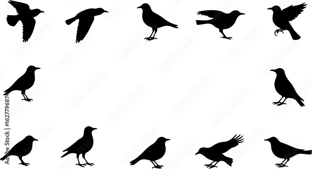 Obraz premium Flying Bird Silhouette Pack vector bundle