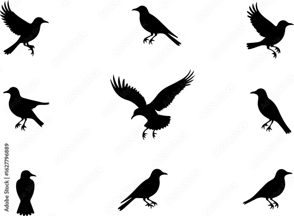 Obraz premium Bonsai Tree Silhouette Set