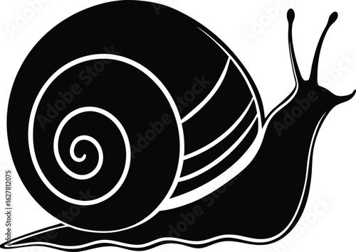 snail silhouette