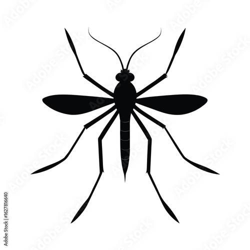 Silhouette of a mosquito on white background Vector illustration