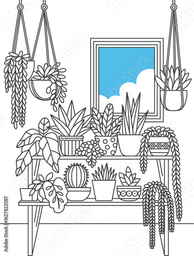 Collection of potted houseplants on shelves potted plants