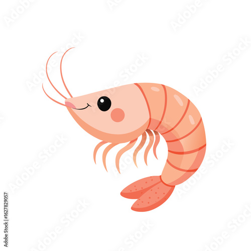 vector illustration of shrimp