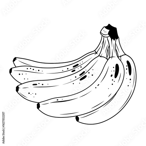 Illustration of a bunch of bananas with black spots in a line art style