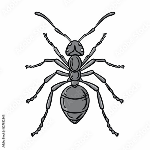 Detailed illustration of a monochromatic ant with intricate features on a plain background