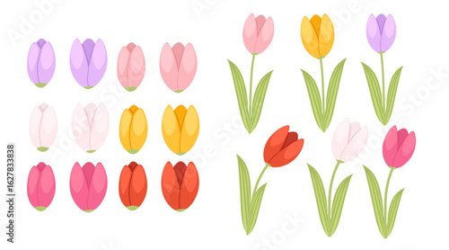 Collection of tulip elements. Multiple tulip flowers in various colors - pink, purple, yellow, red, orange. Different bloom positions and stems. Vector illustration isolated on white