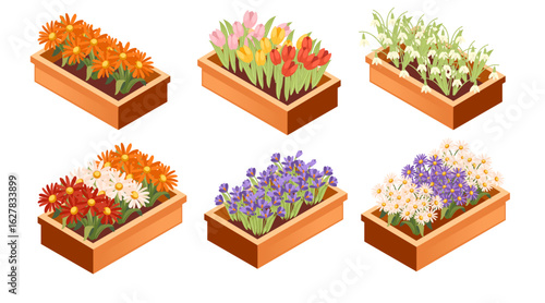 Isometric wooden planter box collection. Rectangular containers with various flowers and plants. Orange, purple, and white blooms arranged in rows. Vector illustration isolated on white