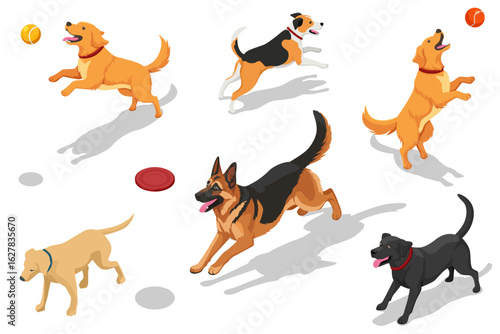 Isometric illustration of different dogs playing with ball and frisbee. Various dog breeds running, jumping and having fun. Pet activity and outdoor play concept