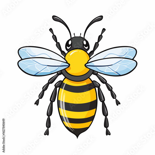 Cartoon Honeybee Illustration with Detailed Wings and Markings against White Background