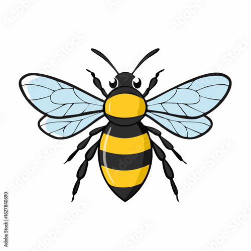 Detailed illustration of a bee with distinct yellow and black stripes on its abdomen