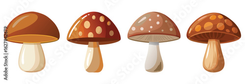 Mushroom vector set, colorful fungi collection for autumn designs and decorations art
