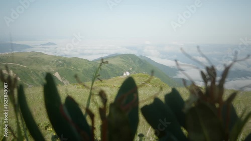 Scenic mountain landscape with lush greenery, distant hills, and a cloudy sky, framed by plants in the foreground under natural daylight.
