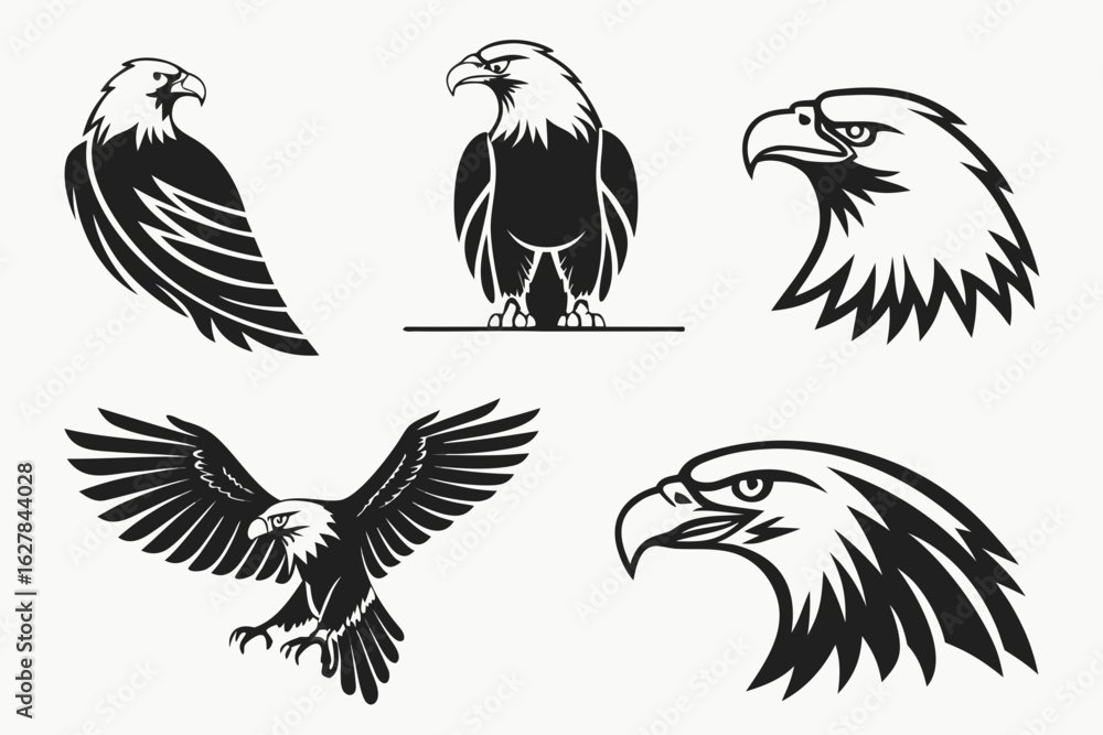 Obraz premium set of eagle