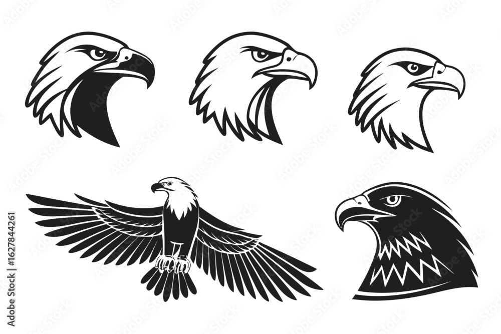 Fototapeta premium set of birds