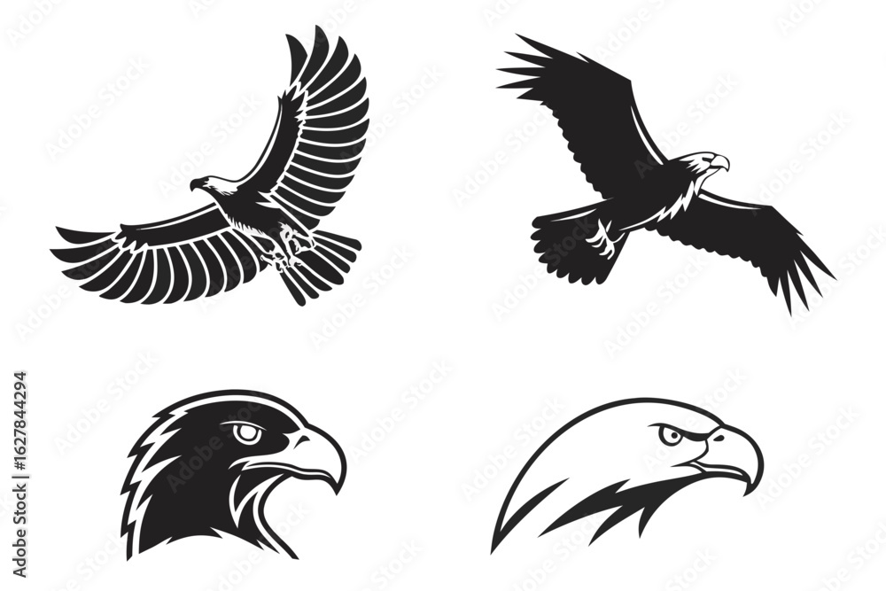 Fototapeta premium eagle vector illustration