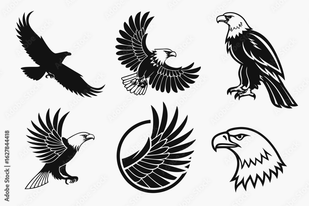 Obraz premium set of eagle