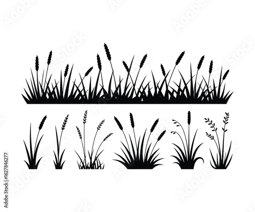 Wallpaper Mural Black silhouettes of various grass elements Torontodigital.ca