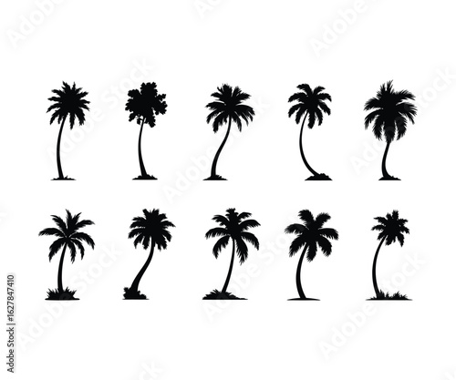 Silhouette collection of tropical palm trees