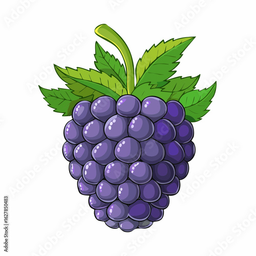 Illustration of a luscious blackberry with vibrant green leaves on a white background
