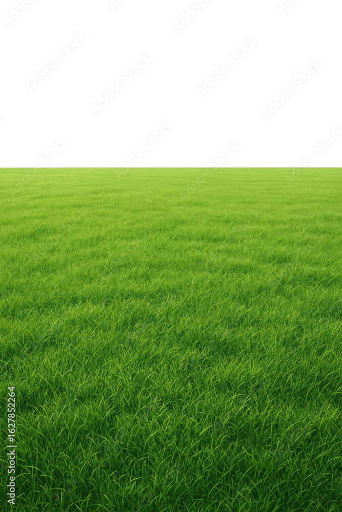 Obraz premium Vast, Lush Green Grass Field Stretching Towards a Sharp Horizon Under a Deep Black Sky