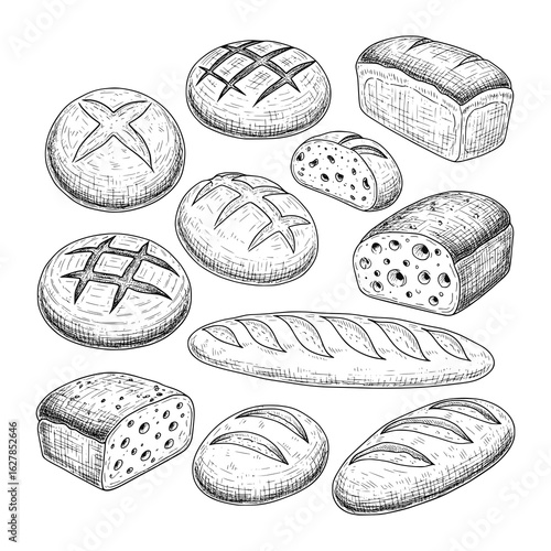 Artisan Sourdough Bread Vector Collection in Vintage Hand Drawn Ink Sketch Style -  Rustic Bakery Drawing 
