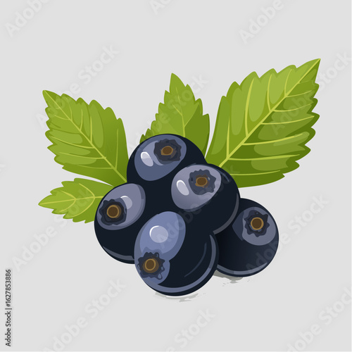 Illustration of fresh blueberries with green leaves on a soft gray background