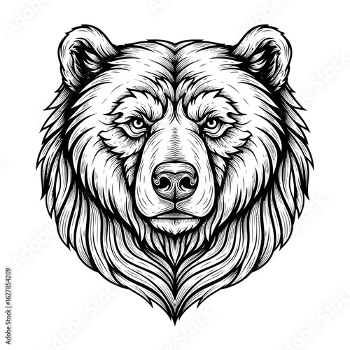 Intense black and white illustration of a bear's head, detailed fur and serious expression.