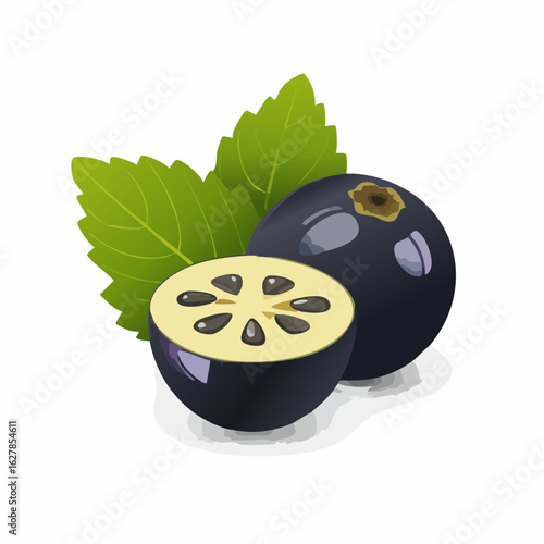 A vibrant digital illustration of two black currants with green leaves on a white background