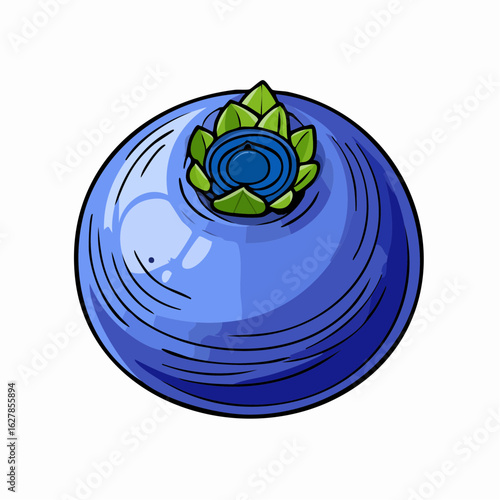 Detailed Blueberry Illustration: A Vibrant and Fresh Depiction of a Single Berry