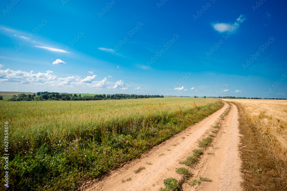 Naklejka premium A narrow dirt road winds through an endless field surrounded by green grass and bushes. Trees can be seen on the horizon, and above them, a clear blue sky with light clouds.