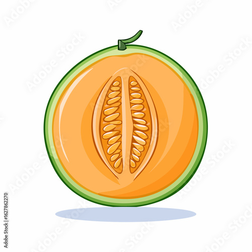 Illustration of a halved melon showcasing its vibrant flesh and tiny seeds inside