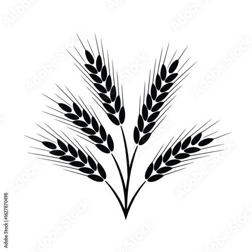 Black and white illustration of a cluster of wheat stalks