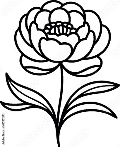 A simple line drawing of a white peony flower with brown center and green leaves on a beige background