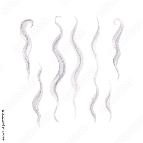 Rising swirls of steam, curve shape smoke isolated on white. Hand drawn watercolor illustration. Abstract steam streams for design, for cafe menu and interior design, tobacco and incense smoke