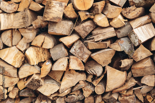 Wallpaper Mural Firewood in a stack Torontodigital.ca