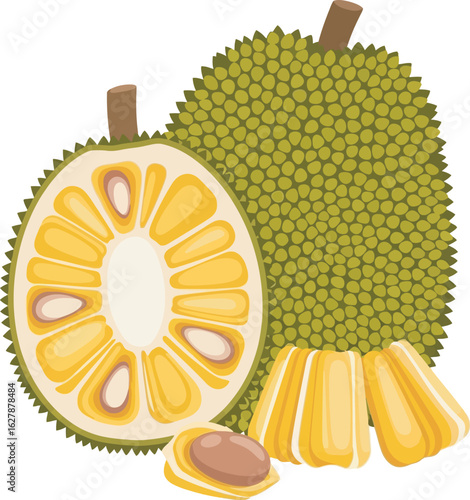 Colorful Cut Jackfruit with Yellow Flesh and Green Skin