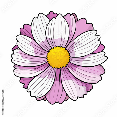 Illustration of a Pink and White Daisy Flower with a Bright Yellow Center on White Background