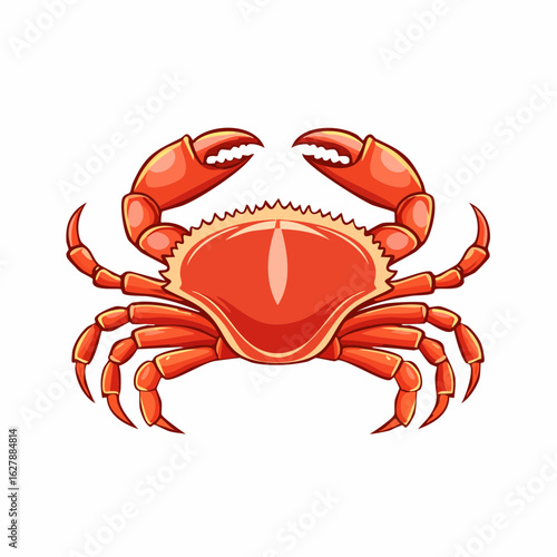 Illustrative rendition of a vibrant orange crab, showcasing marine life's artistic appeal