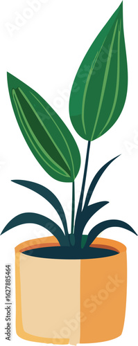 A vibrant green houseplant with broad leaves thrives in a simple modern two toned terracotta planter against a clean white background