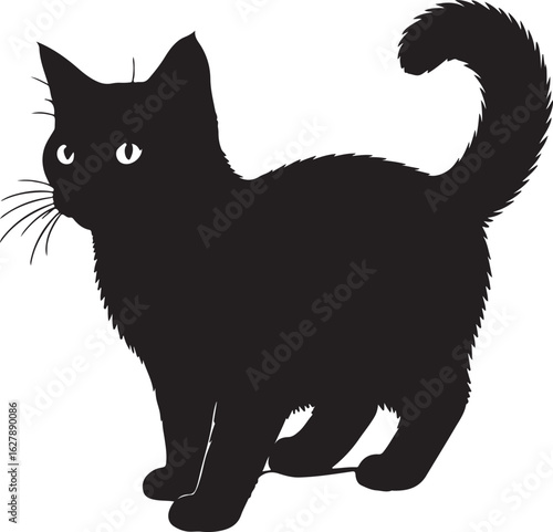 Obraz na plátně Burmilla cat full image in silhouette image.