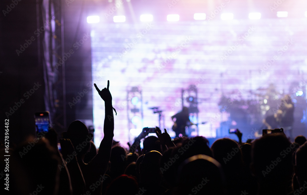 Obraz premium crowd having fun at concert summer music festival