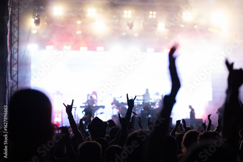 Wallpaper Mural crowd having fun at concert summer music festival Torontodigital.ca