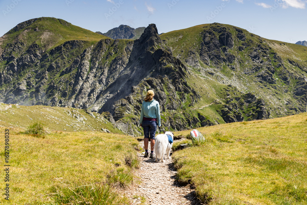 Obraz premium trekking with a dog in hogh mountains